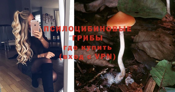 МДПВ Беслан