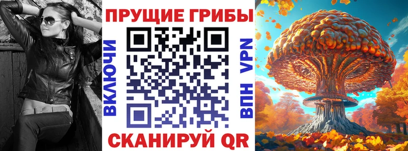 Псилоцибиновые грибы прущие грибы  купить   гидра ONION  Осташков 
